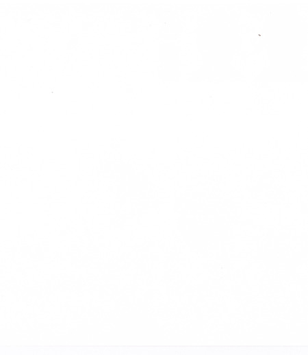 Домработница в городе Москва - Наталья П.