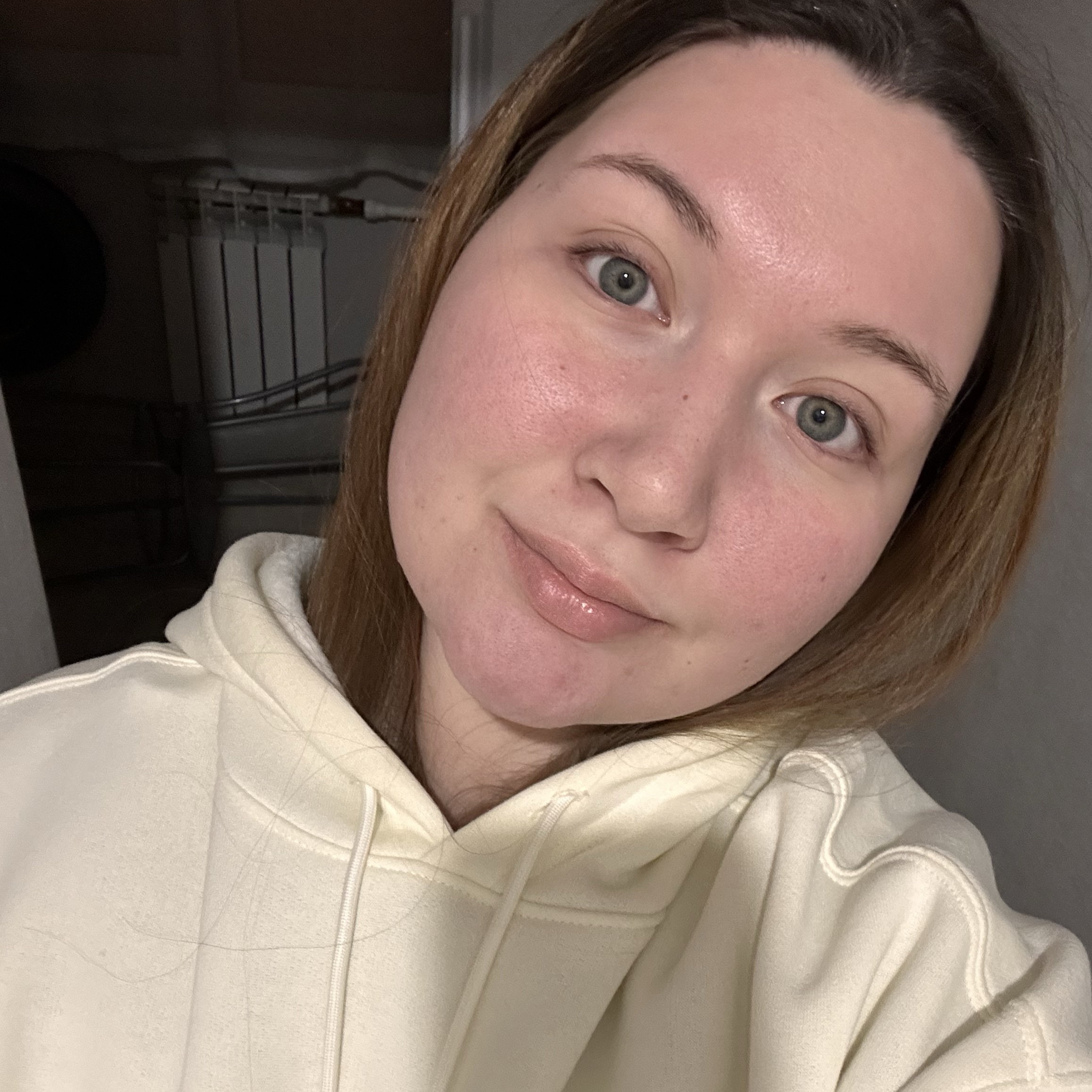 Домработница в городе Казань - Илина З.