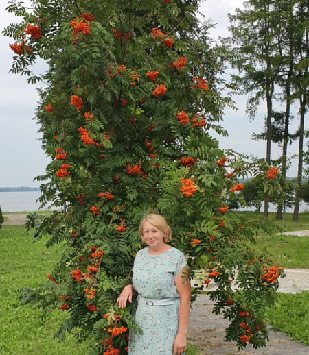 Домработница в городе Москва - Тамара Л.