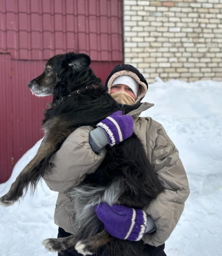 Зооняня в городе Санкт-Петербург - Лена К.
