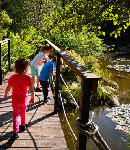 Репетитор в городе Санкт-Петербург - Нужен репетитор Эстонского языка для дошкольников