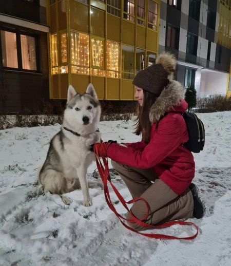 Зооняня в городе Санкт-Петербург - Виктория И.