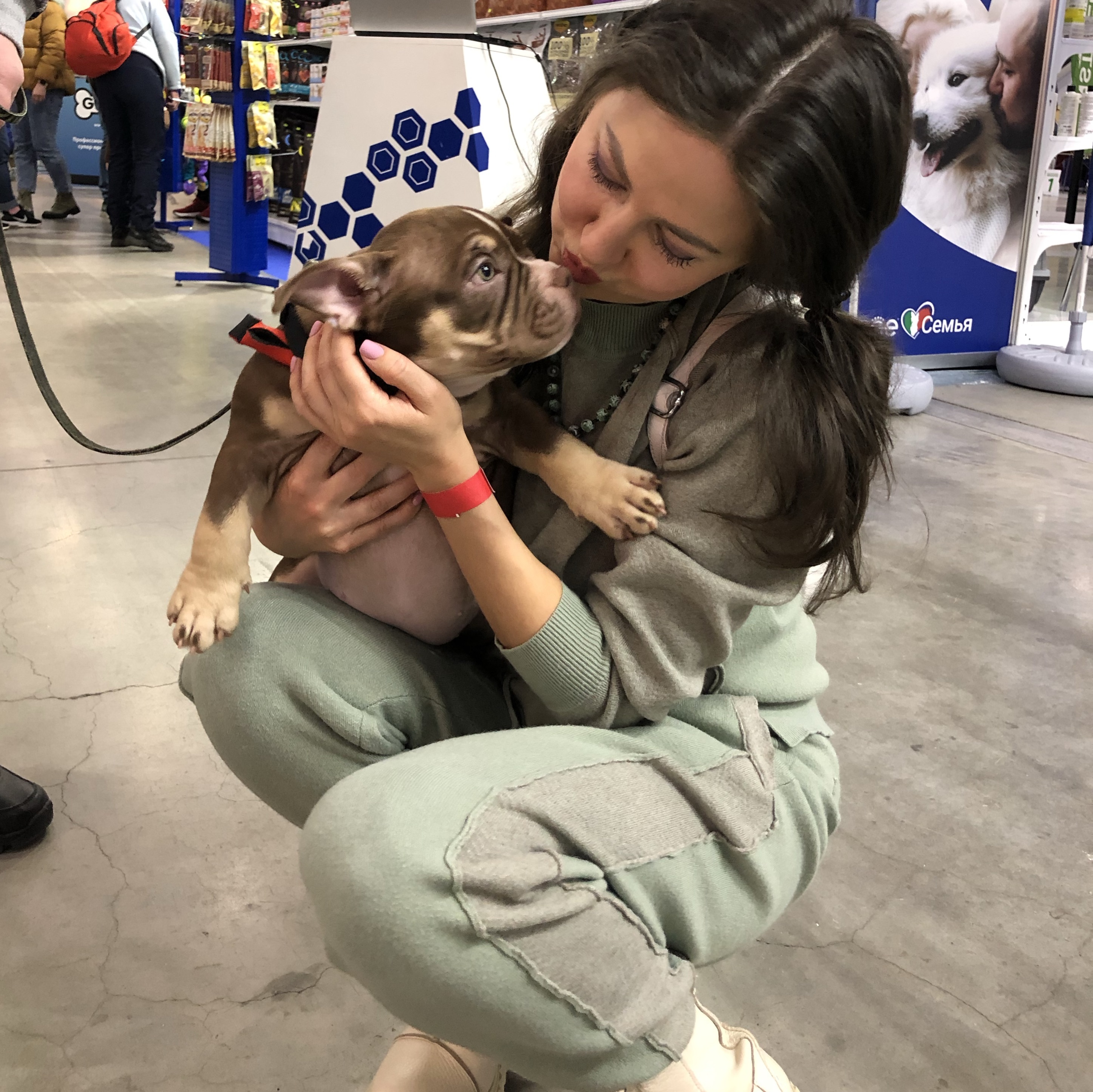 Зооняня в городе Санкт-Петербург - Ксения Андреевна Р.