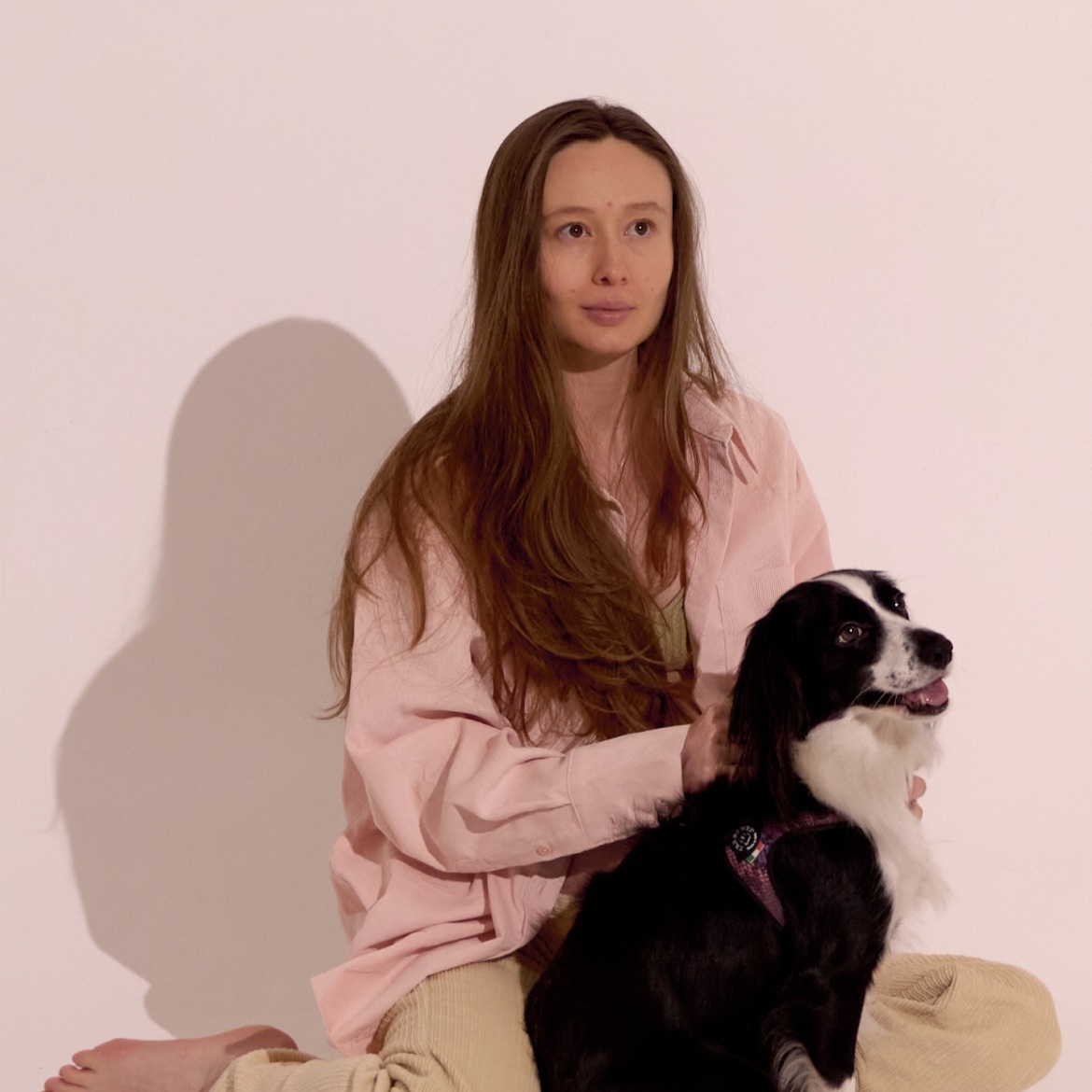 Зооняня в городе Котельники - Зооняня к спаниелю