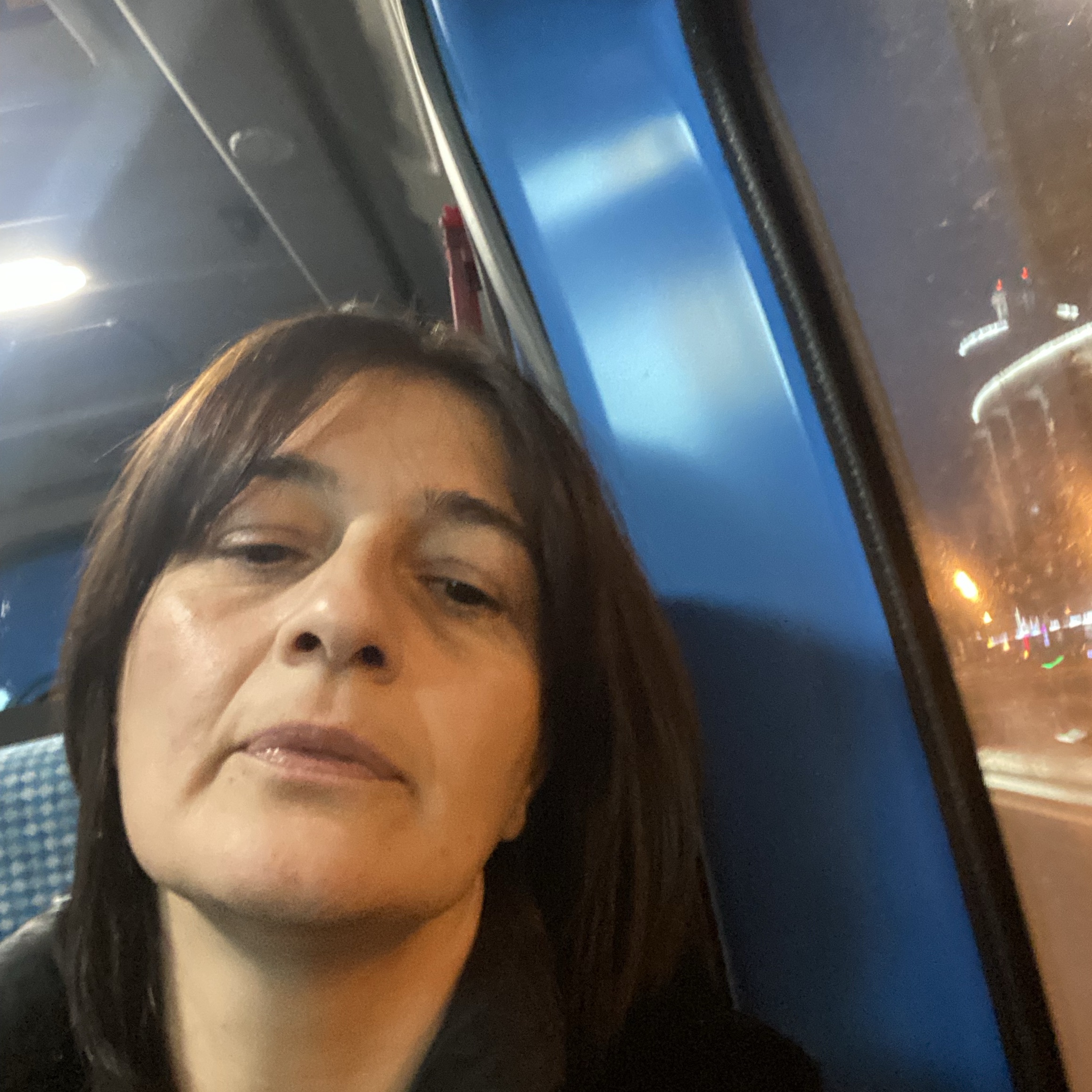 Домработница в городе Москва - Елена К.