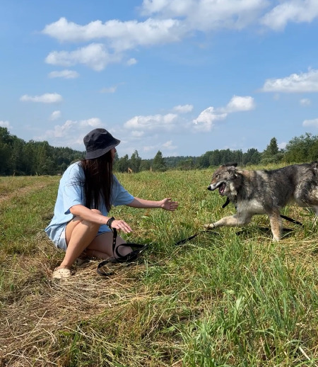 Зооняня в городе Санкт-Петербург - Елена Л.