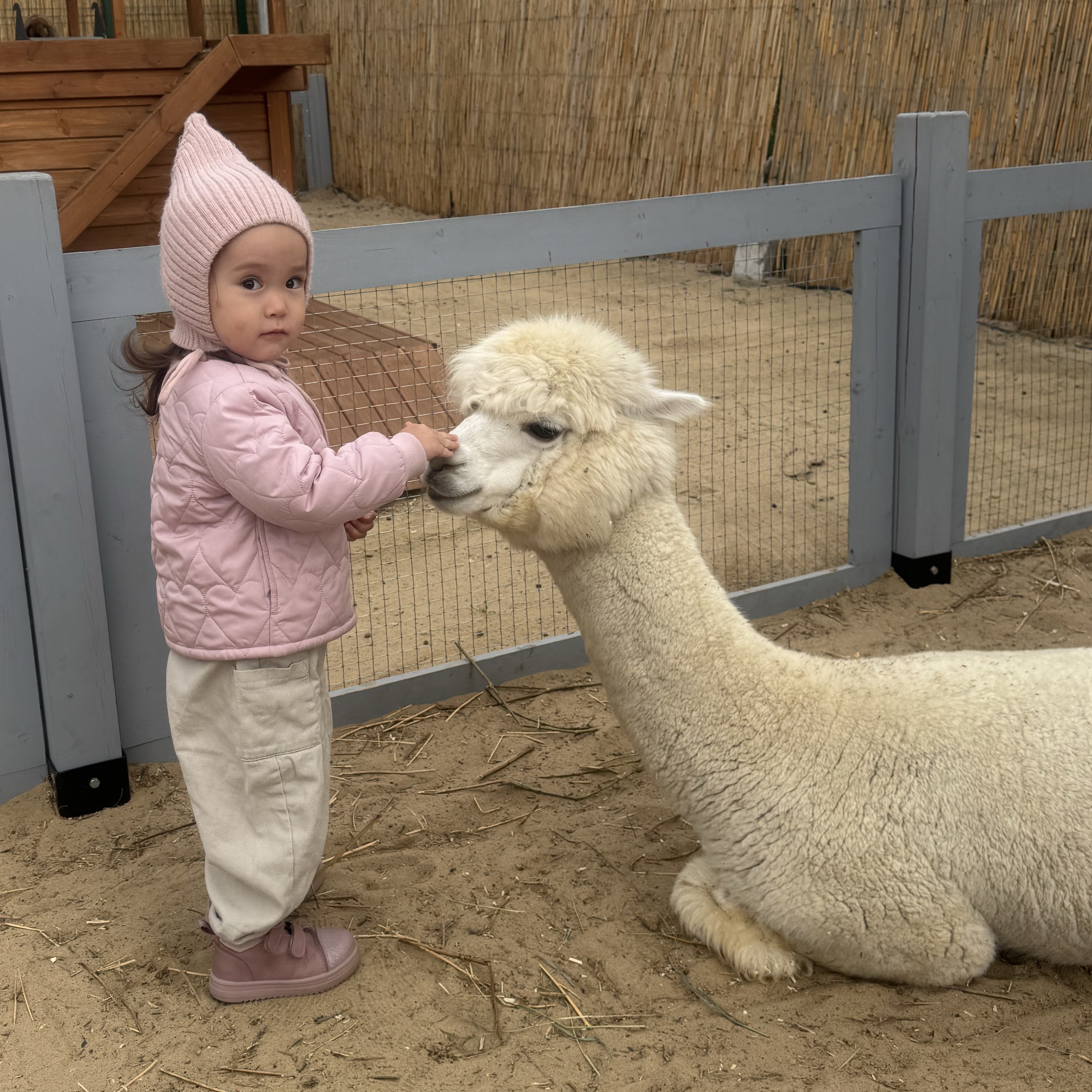 Няня в городе Казань - Няня к девочке