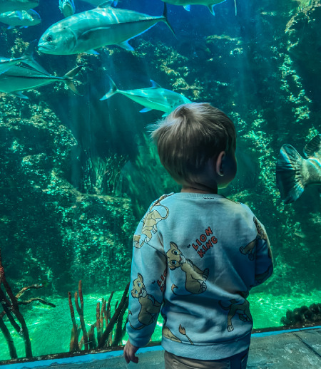 Няня в городе Москва - Няня для ребенка. Неполная занятость