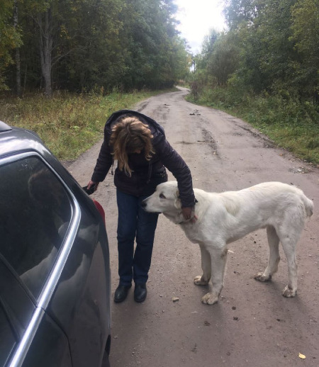 Зооняня в городе Санкт-Петербург - Наталия Васильевна К.