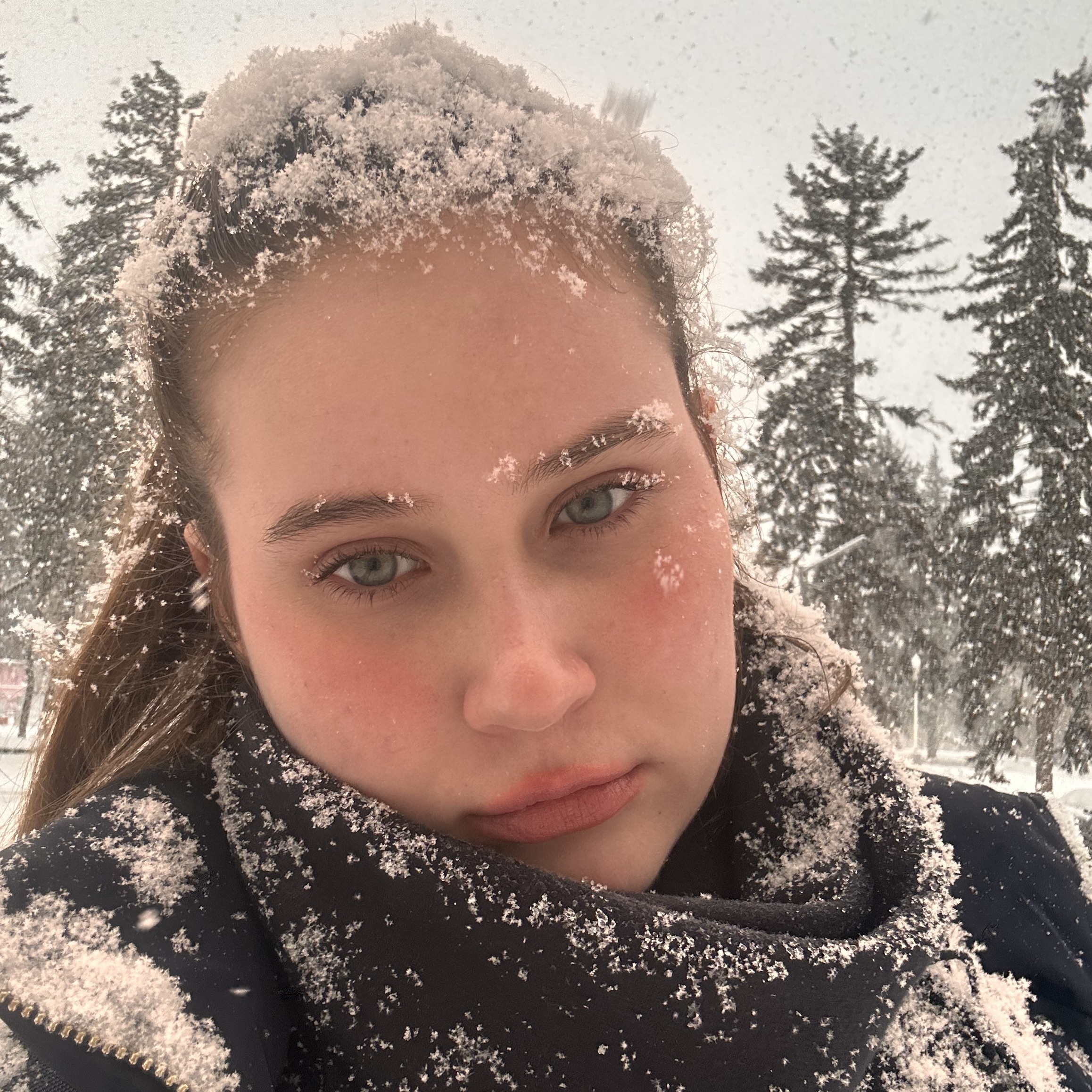 Зооняня в городе Москва - Дарья А.