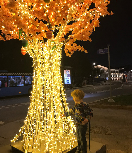 Няня в городе Москва - Няня для активного мальчика 3, 5 лет
