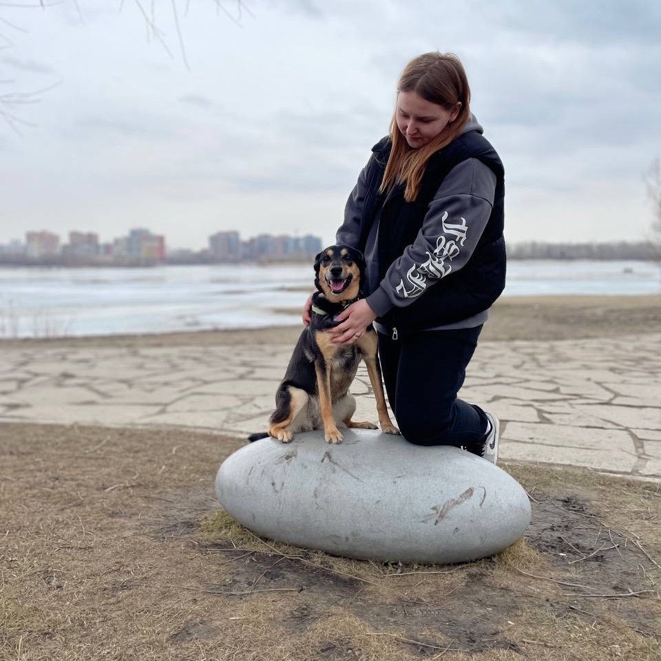 Зооняня в городе Новосибирск - A С.