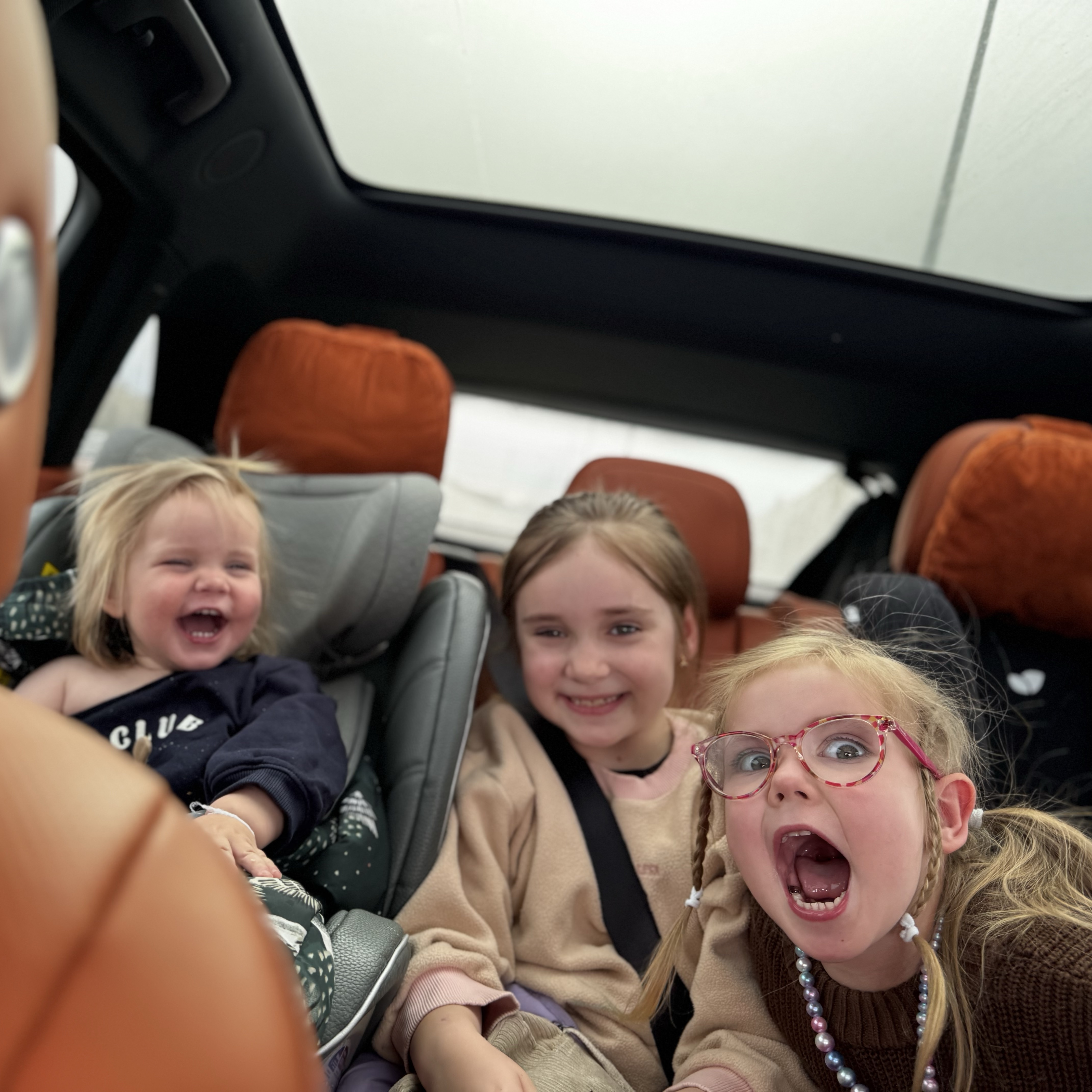 Няня в городе Щелково - Няня для трех девочек