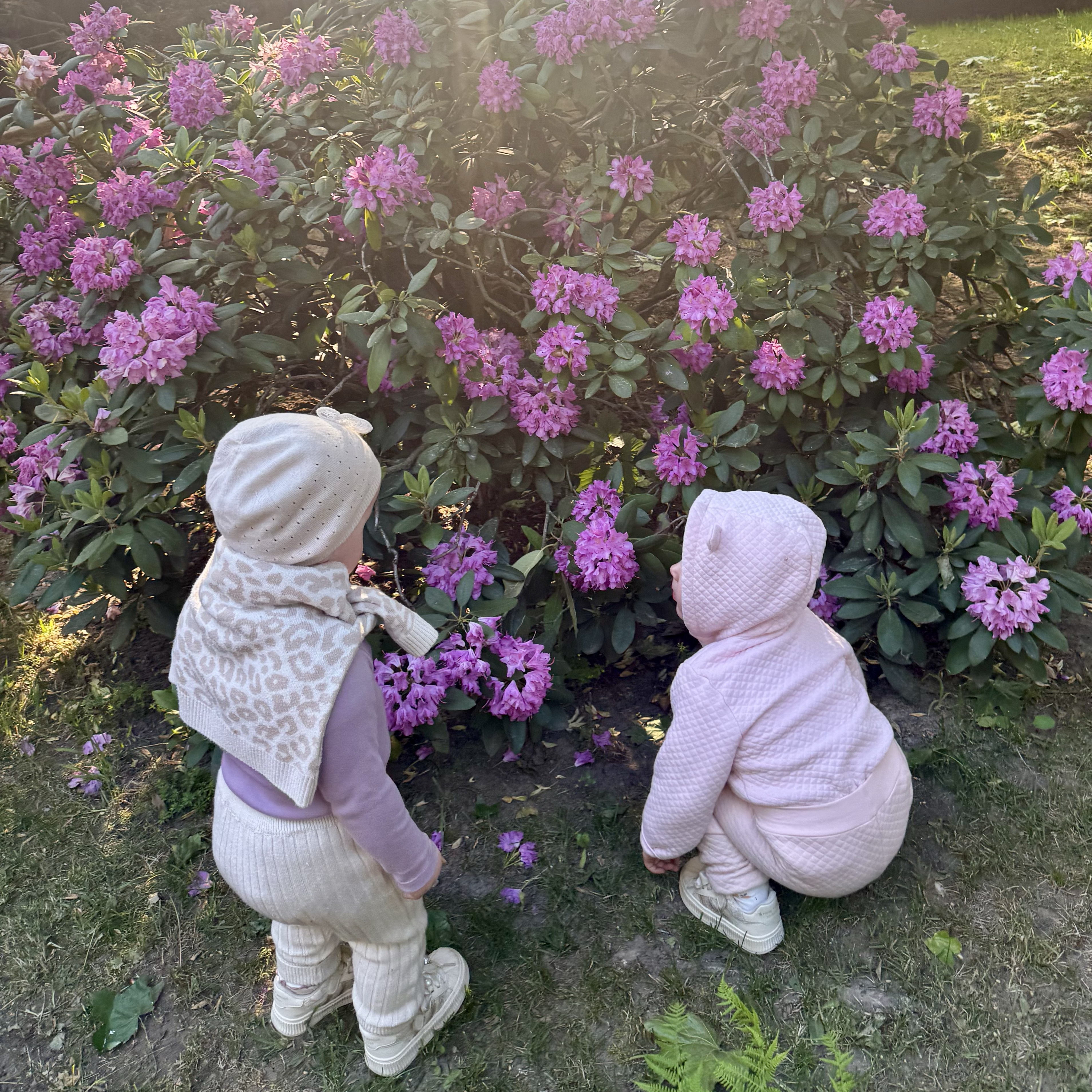 Няня в городе Истра - Няня для девочек двойняшек 1.6