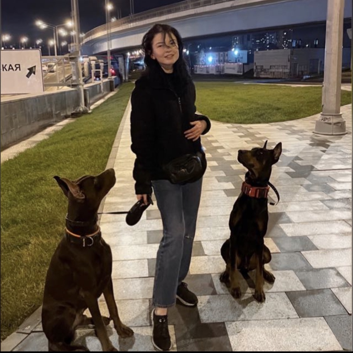 Зооняня в городе Москва - Александра Р.