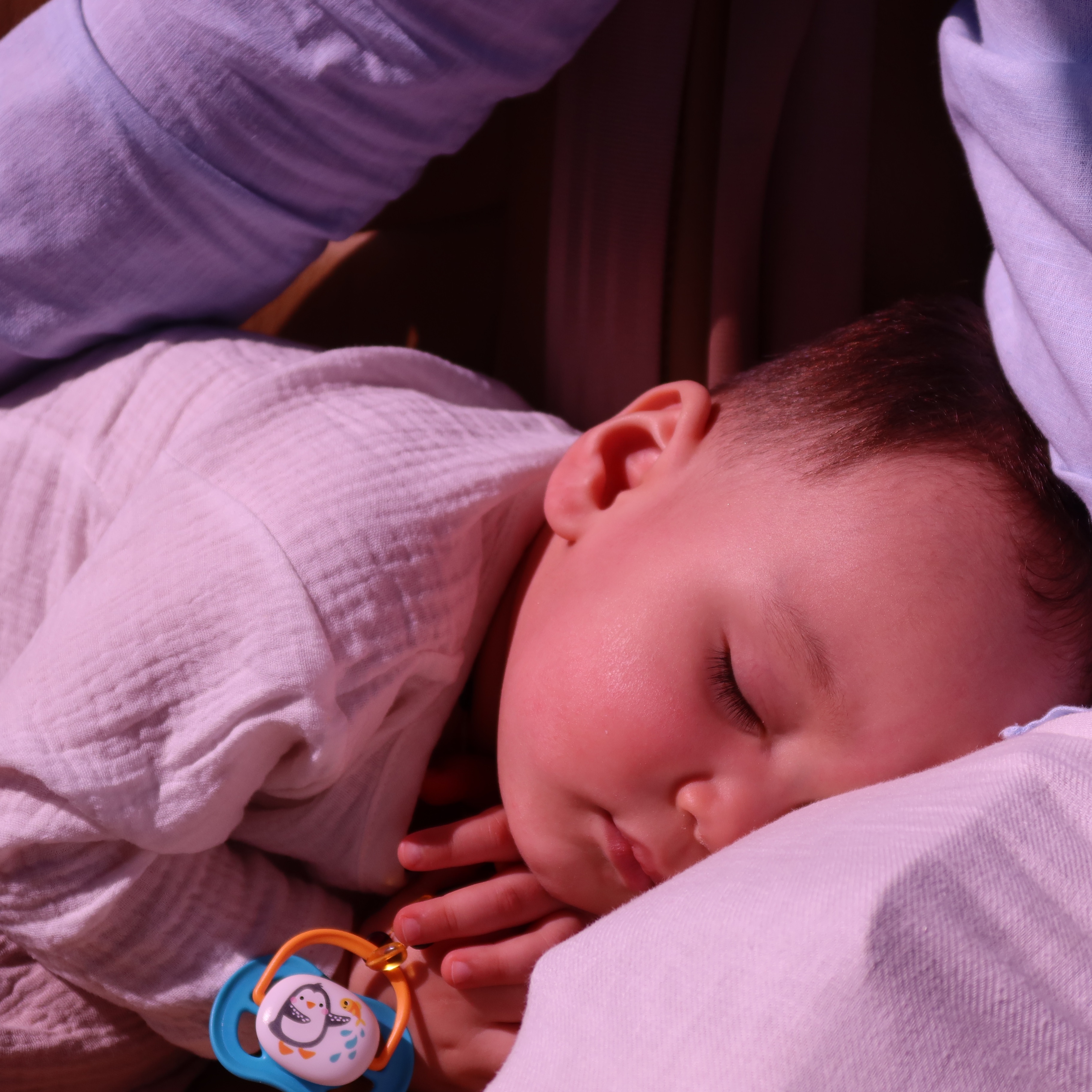 Няня в городе Москва - Ищем добрую и ответственную няню для мальчика Адама, 1 год 5 месяцев