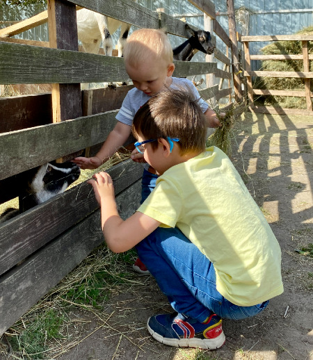 Няня в городе Москва - Ищем вторую няню в помощь работающей из дома маме трех мальчишек
