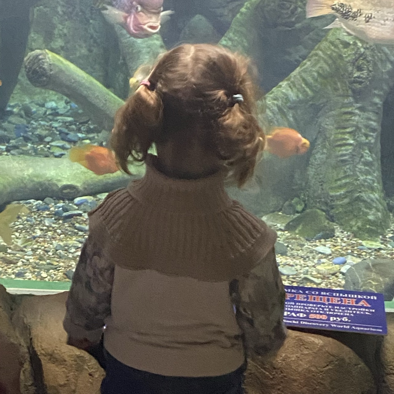 Няня в городе Новосибирск - Няня для девочки 3 года