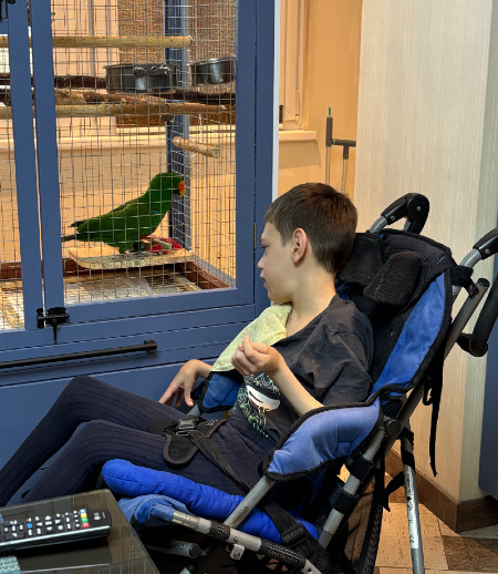 Няня в городе Люберцы - Няня-сиделка для мальчика с дцп