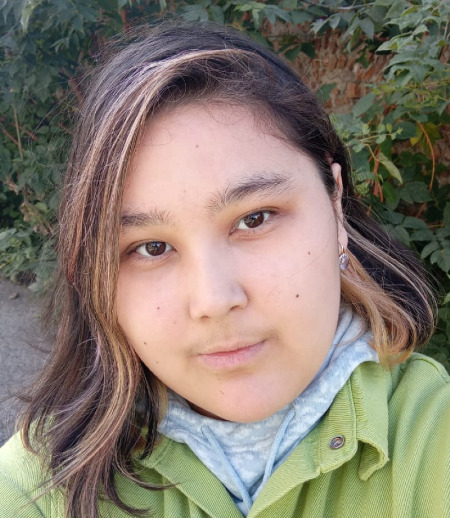 Няня в городе Новосибирск - Алия К.