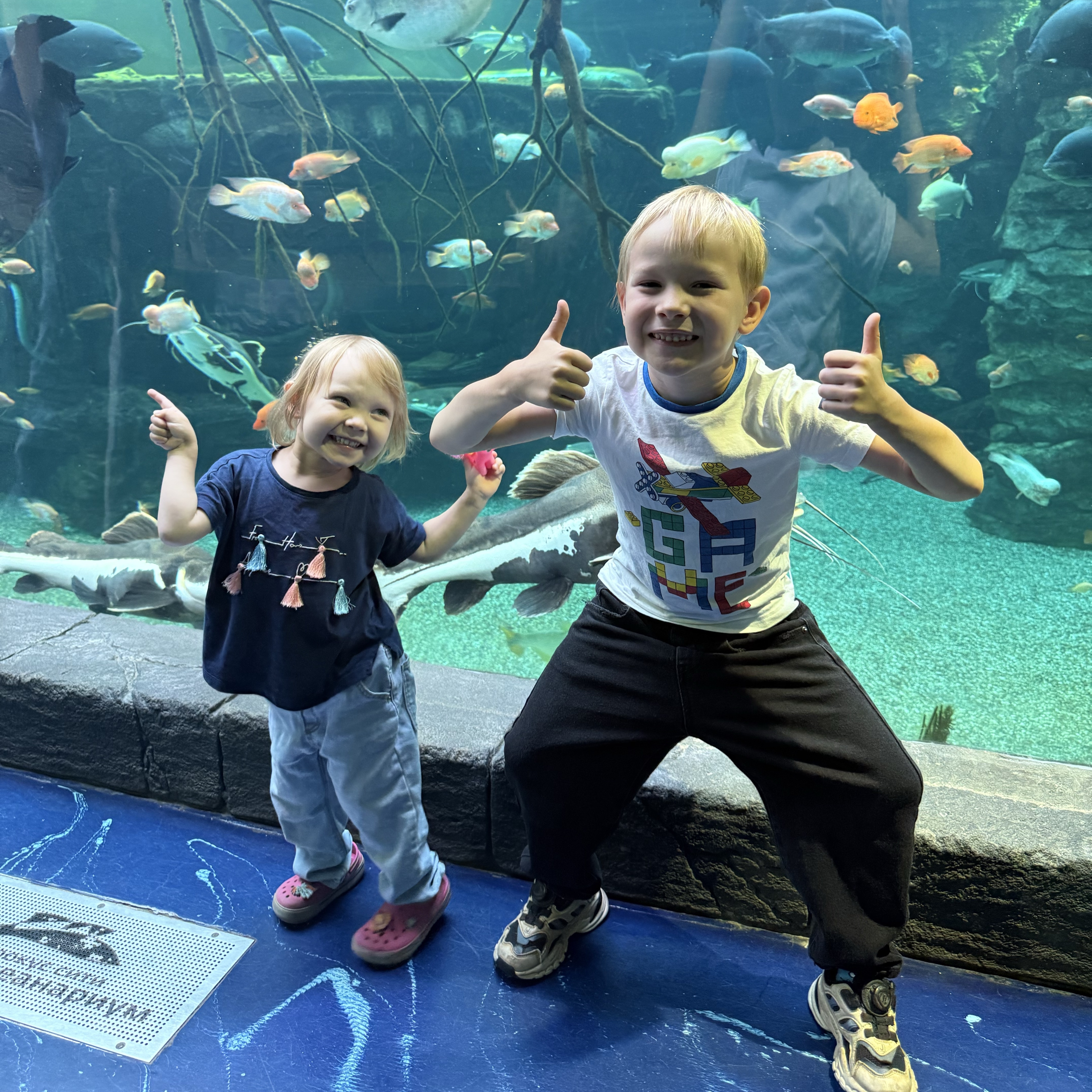 Няня в городе Красногорск - Няня для детей: 3 года и 7, 5 лет