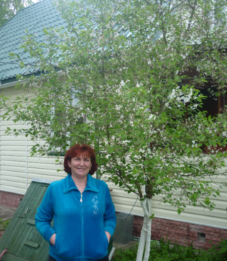 Домработница в городе Санкт-Петербург - Ирина Васильевна Л.