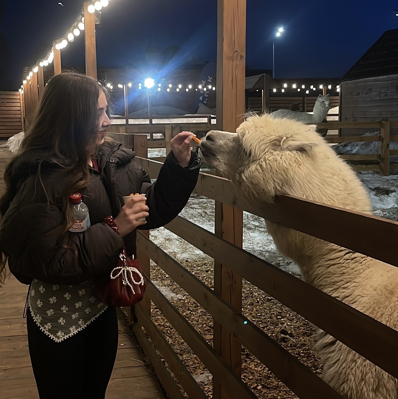 Няня в городе Казань - Альбина Х.