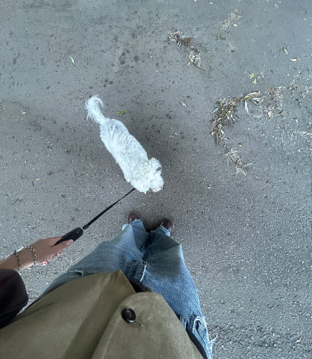 Зооняня в городе Москва - Елизавета Г.