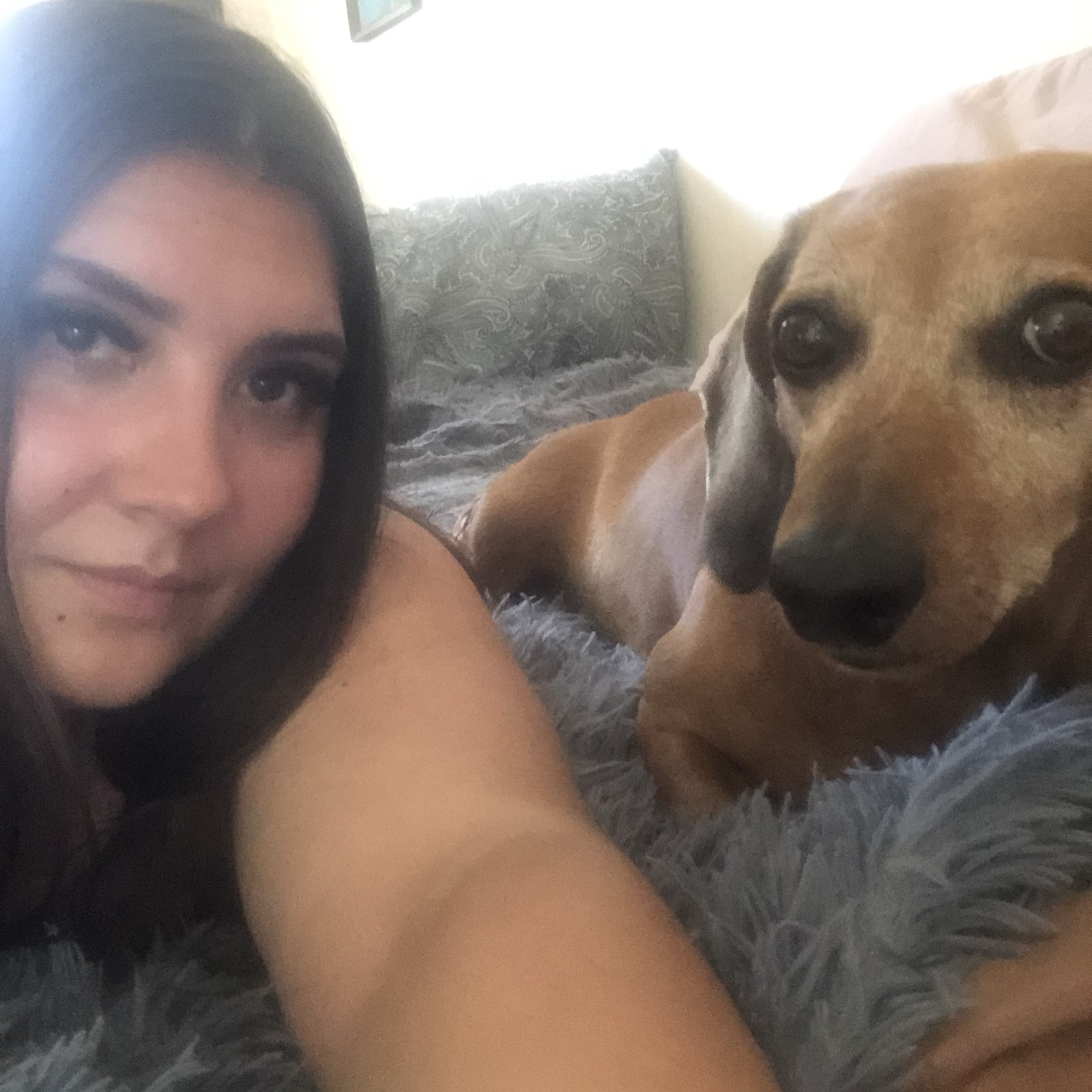 Зооняня в городе Москва - Анастасия Ф.