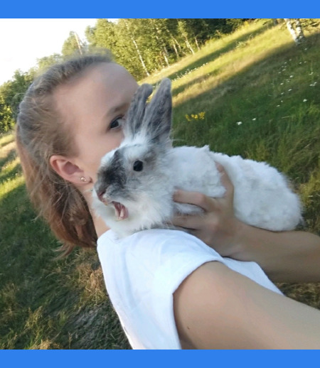 Зооняня в городе Нижний Новгород - Анна У.