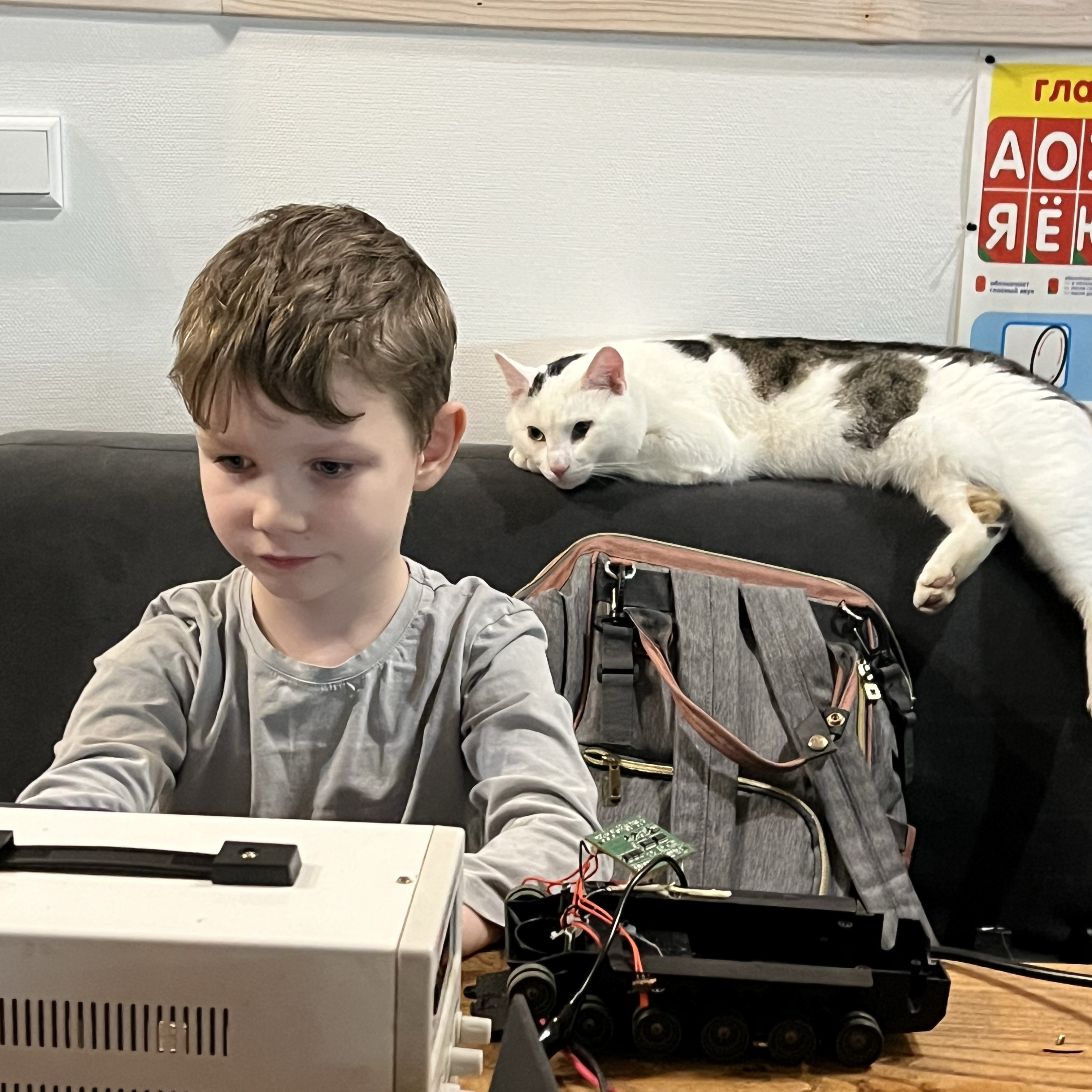 Репетитор в городе Санкт-Петербург - Педагог младших классов для мальчика